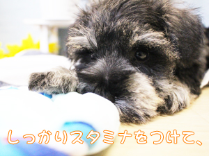 今日から７月！